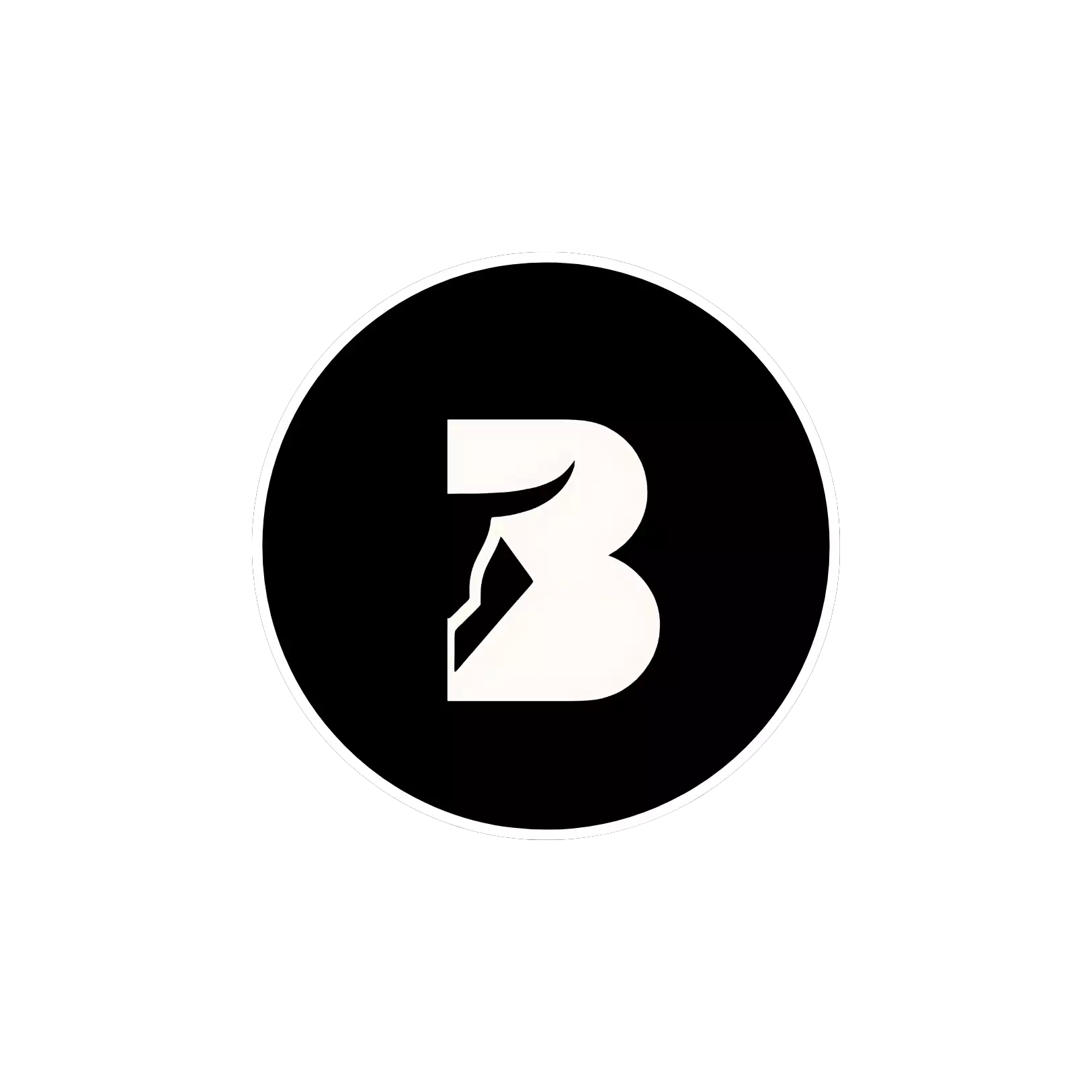 bullzeye--plasmid-digital=solutions-marketing-agency